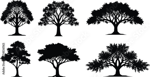  Tree silhouette collection, natural forest vector illustration, isolated black tree shapes for landscape design, park and garden elements, nature artwork and background concept