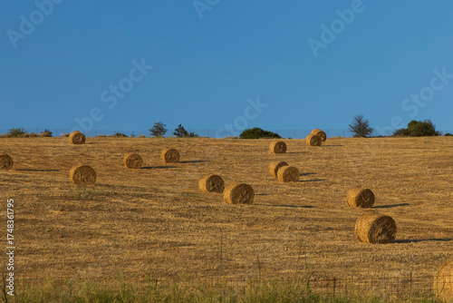 balle di fieno in un prato verde con cielo azzurro