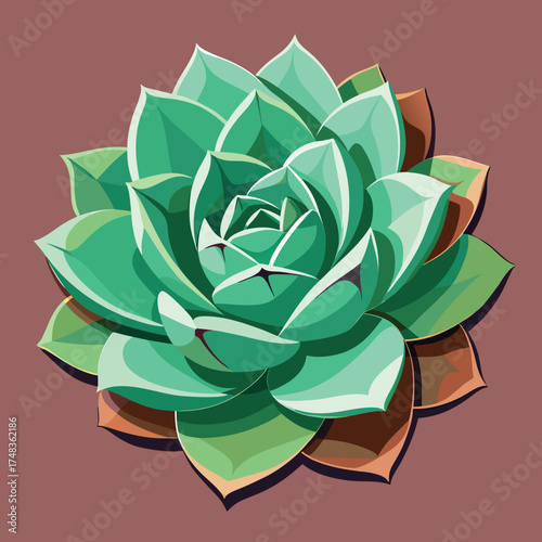 Realistic succulent plant illustration with vibrant green leaves and earthy tones perfect for botanical art and decor