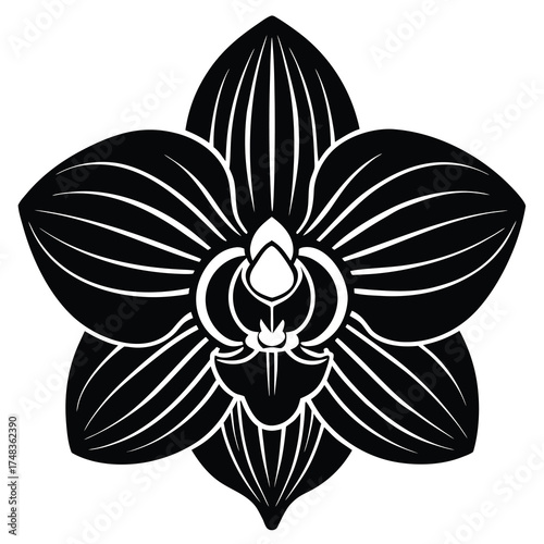 Elegant flat design illustration of a single orchid flower with vibrant colors