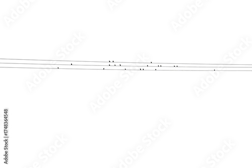 Birds sitting on a power line, resembling musical notes on a stave. White background.