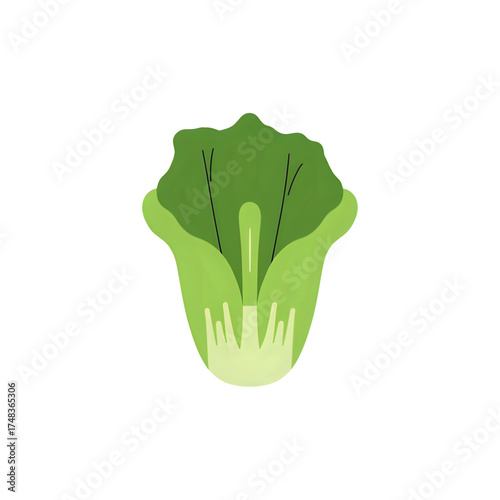 Stylized illustration of fresh bok choy, a nutritious leafy green vegetable, representing healthy eating, Asian cuisine, and organic food, perfect for vegan diet and market designs