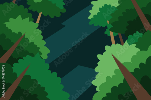 Looking up through the trees in a dense forest area