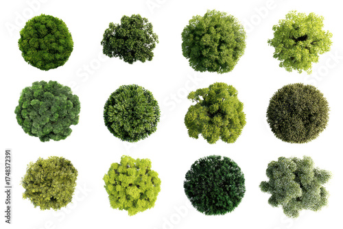 A collection of trees in various sizes and shapes. The trees are all green and are arranged in a grid pattern. Concept of order and organization, as well as a natural and peaceful atmosphere, png