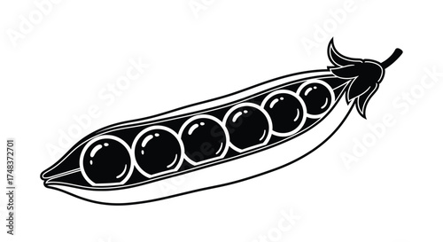 Stylized Black and White Vector Image of a Pea Pod: Healthy Eating, Plant-Based Diet, Garden Vegetable and Organic Farm Goodness Illustration