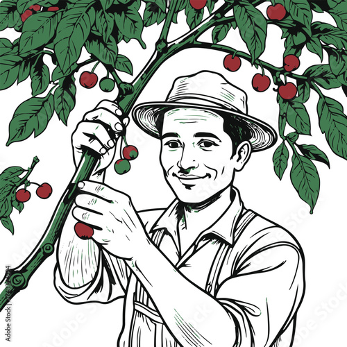 black line vector art of a farmer handpicking ripe coffee cherries from a tree branch, simple outline illustration, minimal and professional design, white background 1