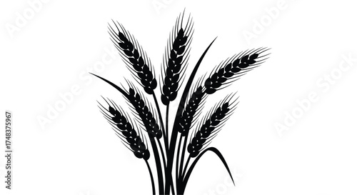 Wheat Stalks Silhouette: A Vector Graphic Illustration for Agriculture, Farming, Food, and Nature-Themed Projects and Designs, showcasing rural themes