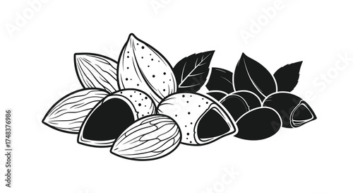 Elegant Black and White Illustration of Almonds with Leaves: A Healthy and Natural Food Source for Your Creative Projects