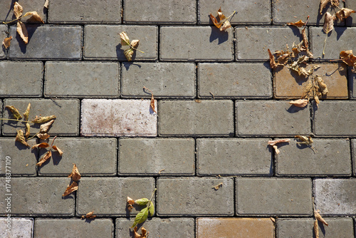 Dried autumn leaves are scattered across a textured brick pavement. warm sunlight highlights the colors of the leaves and the bricks on this clear day