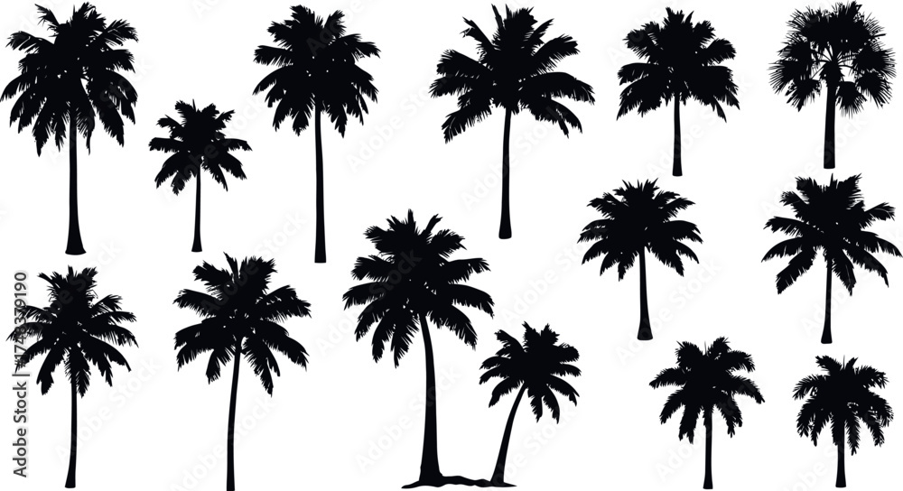 Obraz premium Collection of Black Palm Tree Silhouettes tropical