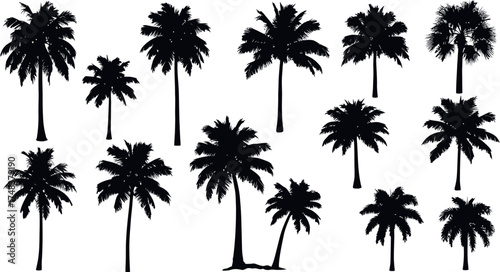 Collection of Black Palm Tree Silhouettes tropical