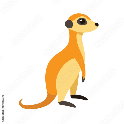 Meerkat on White Background