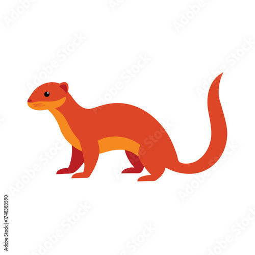 Mongoose on White Background