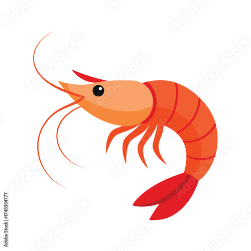 Shrimp on White Background