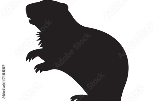 Silhouette of a curious groundhog standing on its hind legs against a white background