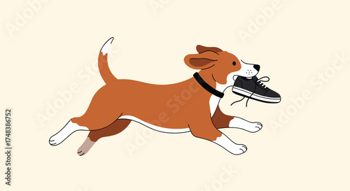 A happy dog runs with a shoe in its mouth.