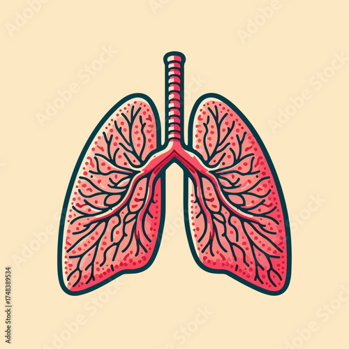 premium vector illustration of lungs
