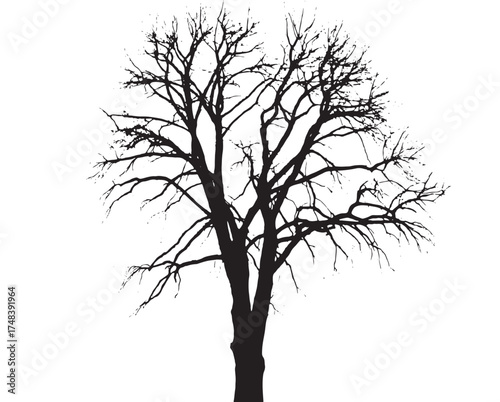 Striking silhouette of a bare tree against a stark white background, evoking winter or dormancy