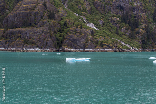 Floating small chunks of ice caps, in Alaska.