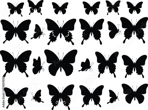 Butterfly silhouette vector set, black insect icons, symmetrical wings, nature design elements, entomology graphics, decorative butterfly shapes, isolated illustrations