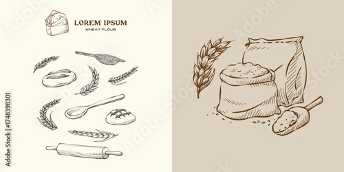 Take away bakery concept logo and sack of flour some stalk of rye, wheat, and barley for bakery bread product. Include hand drawn illustration of baking utensils and sourdough snack food element set