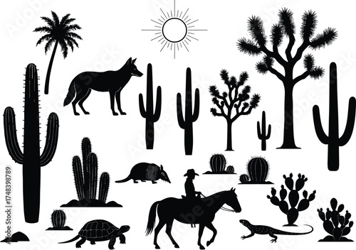 Desert wildlife silhouette, cactus and cowboy scene, armadillo, tortoise, lizard, horse rider, sun rays, desert trees, vector illustration, black and white