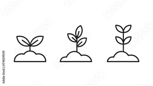 Simple illustration showing the stages of plant growth from seedling to sprout