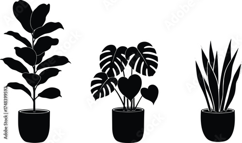 Indoor potted plants vector, tropical houseplants illustration, Monstera, foliage decor, botanical clipart, home greenery, minimalist plant design, silhouette art