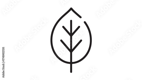 Simple, clean line art illustration of a leaf outline, symbolizing nature and growth.
