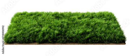 Realistic Green Grass Turf Isolate on Transparent Background, cutout, png