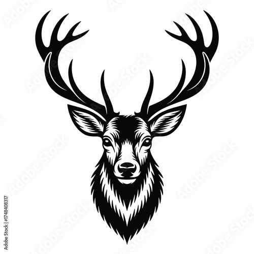 Majestic stag head vector illustration scalable graphic art for download silhouette