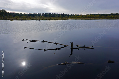 Naturschutzgebiet Schwenninger Moos; Hochmoor und Neckarursprung; Baden Württemberg; Deutschland