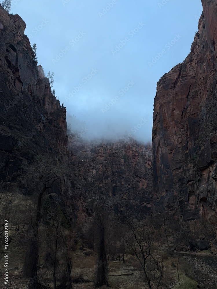 Fototapeta premium View from Zion canyon trail.