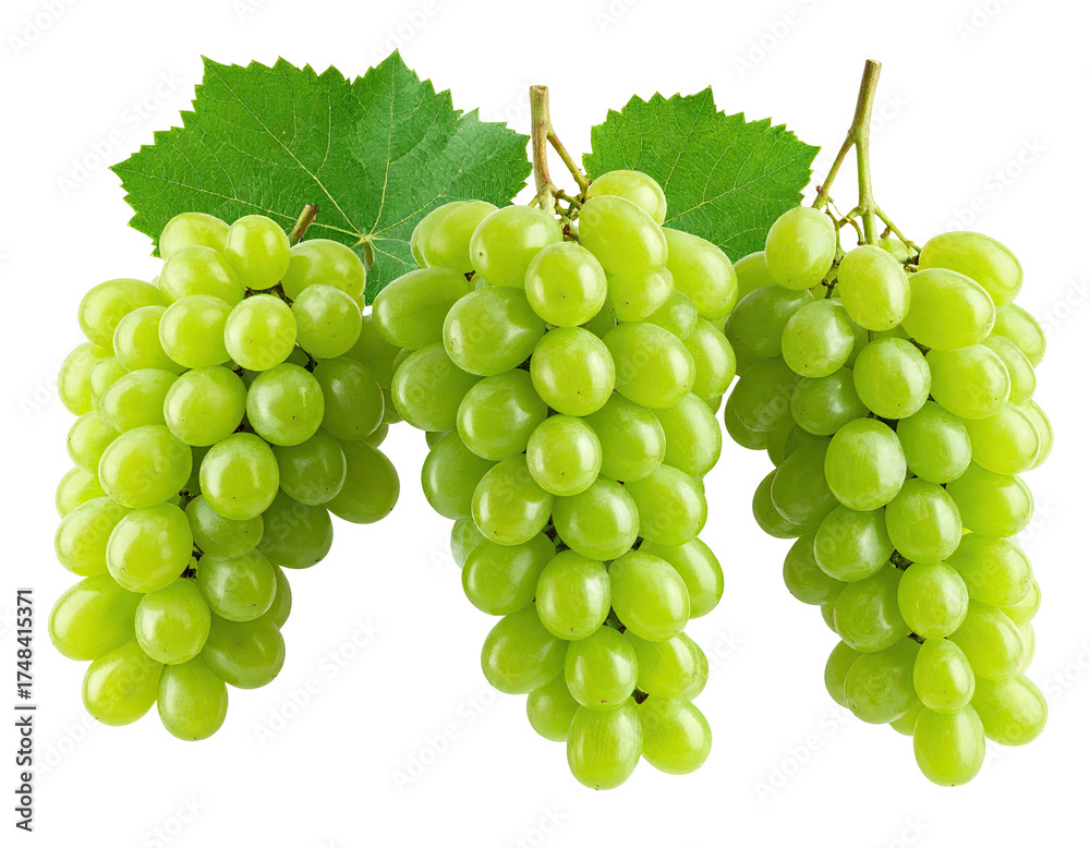 Obraz premium Fresh green grapes with leaves (1)