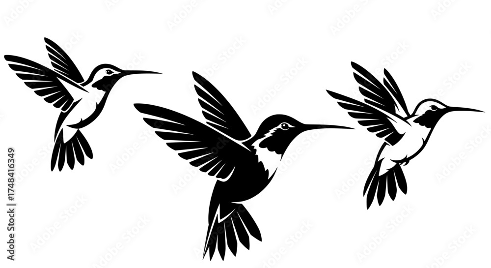 Fototapeta premium Three stylized black and white hummingbirds in flight depicted with dynamic wings and delicate bodies against a clean white background symbolizing nature and movement