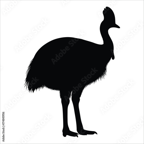 Wallpaper Mural Silhouette of a cassowary against a white background. Torontodigital.ca