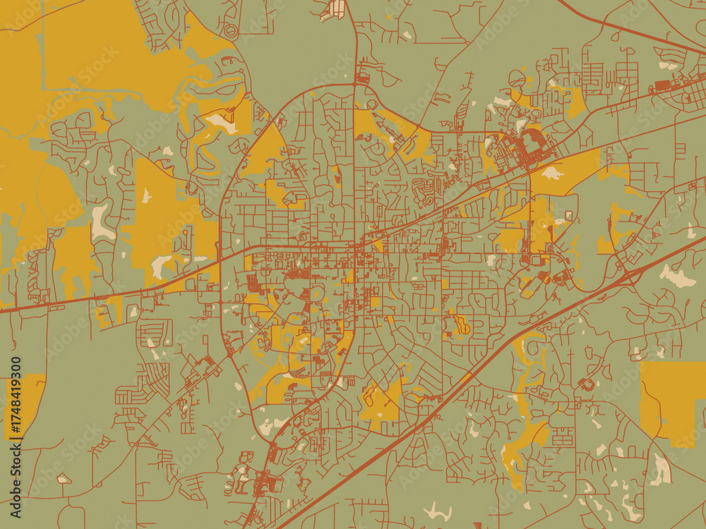 Obraz premium Vector-style flat map of Auburn, Alabama with muted sage base, rust-colored roads, and soft ochre highlights.