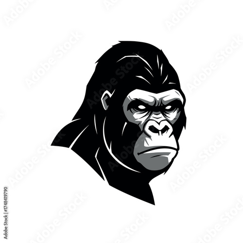 Intense Gorilla Portrait Fierce Wild Animal Head.