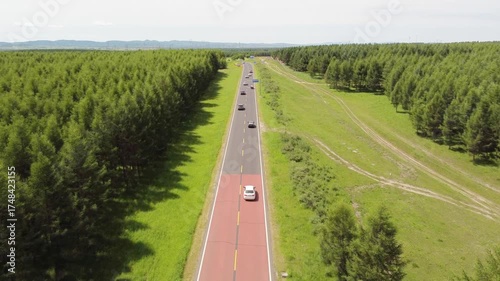 Aerial shot lone car driving on a winding asphalt road through lush green forest