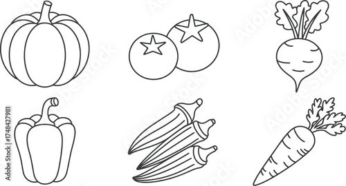 Line art illustration of various vegetables including pumpkin tomato