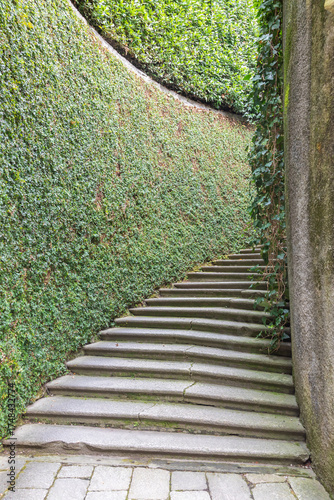 Old staircase in nature. Garden architecture design, green natural path