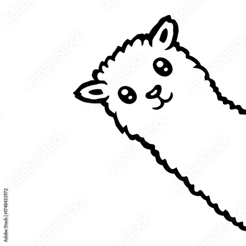 Llama Alpaca Cute Head Peeking From Corner
