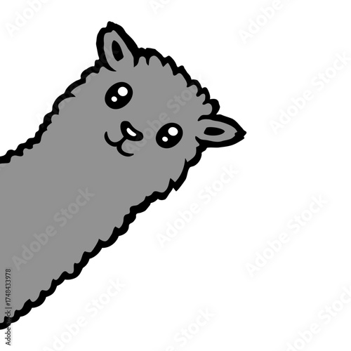 Llama Alpaca Cute Head Peeking From Corner
