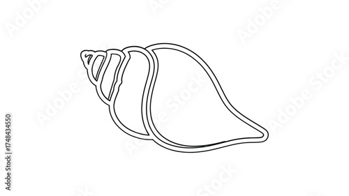 Simple outline drawing of a conch seashell isolated on a white background