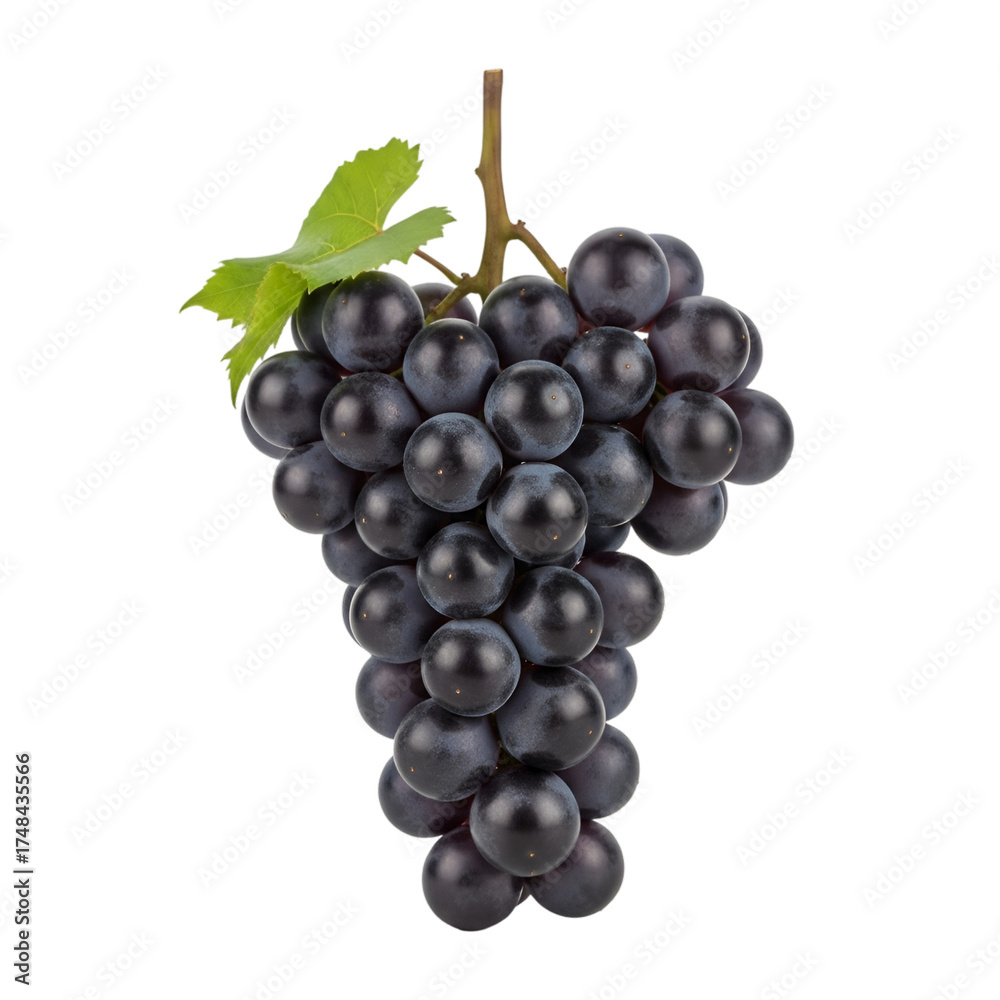 Fototapeta premium Bunch of Dark Purple Grapes with Green Leaf Isolated
