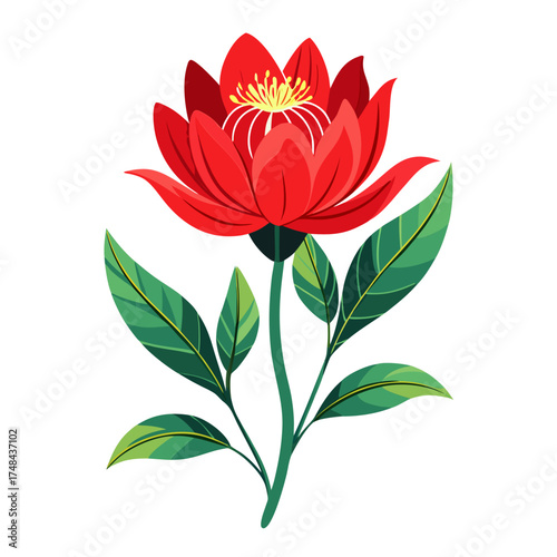 vector illustration of a red flower