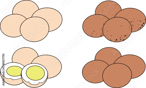 Illustration of different types of chicken eggs and a halved egg set