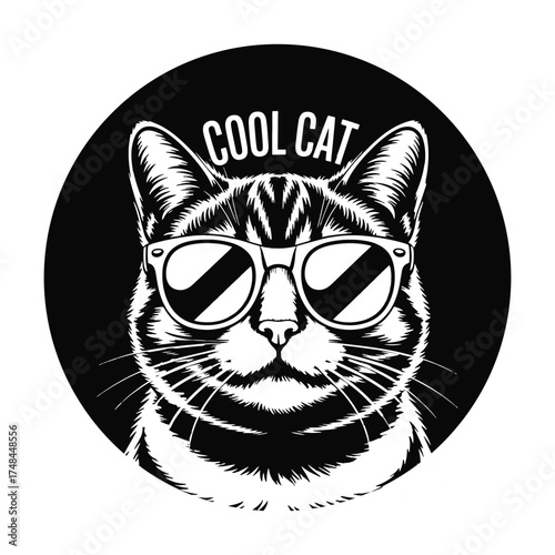 black cat on white background