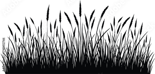 Wallpaper Mural Grass horizontal landscape border element silhouette vector illustration isolated on a white background Torontodigital.ca