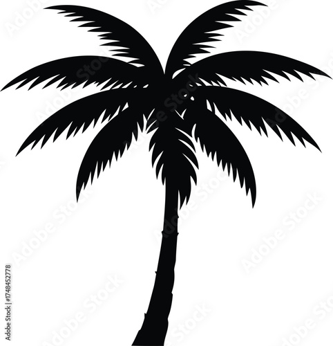 coconut tree vector, island tree illustration